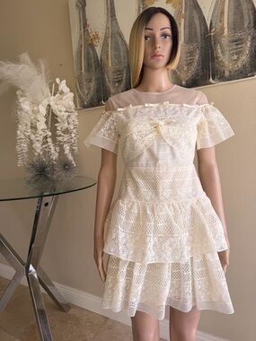 Sheer Lace Tiered Mini Dress in Ivory